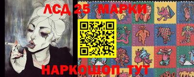 спиды Кингисепп
