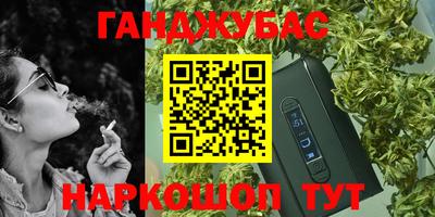 спиды Кингисепп