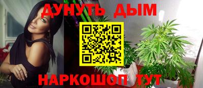 спиды Кингисепп