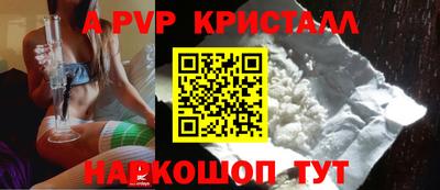 спиды Кингисепп