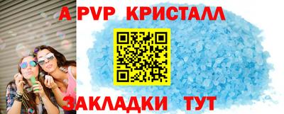 спиды Кингисепп