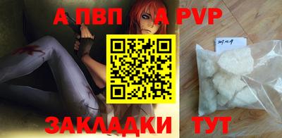 спиды Кингисепп