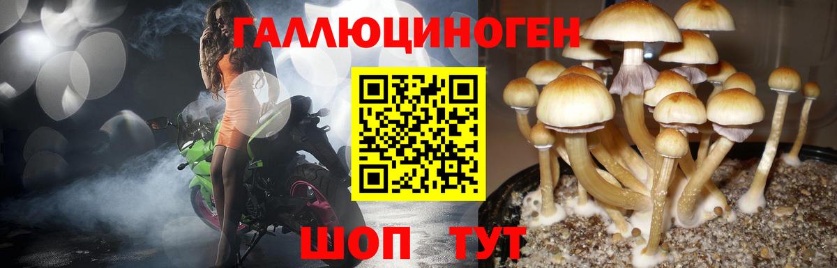 Кохма  Галлюциногенные грибы ЛСД  Вход с VPN 